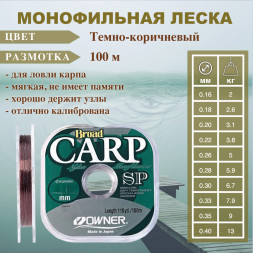 Леска Owner Carp Special 0.33 100м